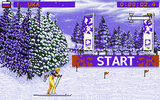 [Winter Olympics: Lillehammer '94 - скриншот №12]