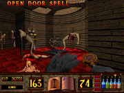 Witchaven II: Blood Vengeance