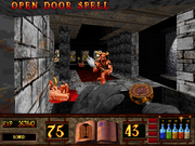 Witchaven II: Blood Vengeance