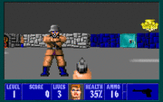 Wolfenstein 3D