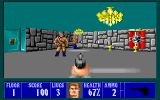 [Wolfenstein 3D - скриншот №8]
