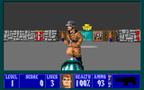 [Wolfenstein 3D - скриншот №11]