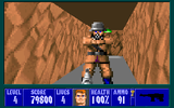 [Wolfenstein 3D - скриншот №35]