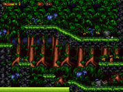 Woodii: Regnskogens Hemlighet