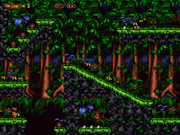 Woodii: Regnskogens Hemlighet