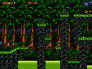 Woodii: Regnskogens Hemlighet