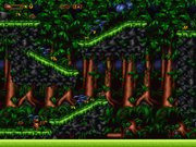 Woodii: Regnskogens Hemlighet