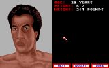 [World Championship Boxing Manager - скриншот №1]