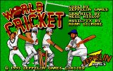 [Скриншот: World Cricket]