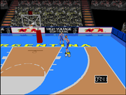 World League Basketball