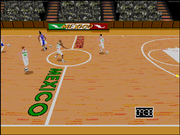 World League Basketball