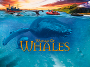 World of Whales