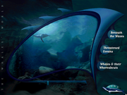 World of Whales