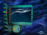 [World of Whales - скриншот №9]
