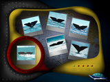 [Скриншот: World of Whales]