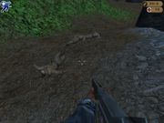 World War II Combat: Iwo Jima