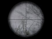 World War II Combat: Road to Berlin