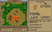 Worlds of Ultima: The Savage Empire