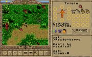 Worlds of Ultima: The Savage Empire