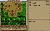 [Скриншот: Worlds of Ultima: The Savage Empire]