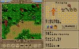 [Worlds of Ultima: The Savage Empire - скриншот №12]