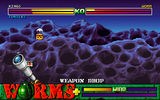 [Worms Reinforcements - скриншот №9]