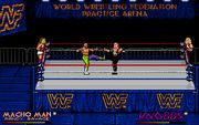 WWF European Rampage Tour