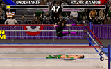 [WWF Wrestlemania: The Arcade Game - скриншот №5]