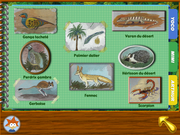 Yoco: Le Mystère des fruits disparus