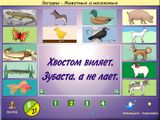 [Загадки - скриншот №12]