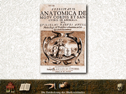 Das Zeitalter des Dreißigjährigen Krieges