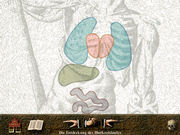 Das Zeitalter des Dreißigjährigen Krieges