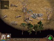 Животный мир