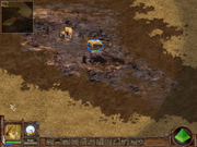 Животный мир