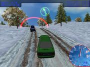 Зимнее ралли: Московская область