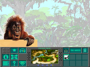 Zoobooks Animazing Adventures: The Apes