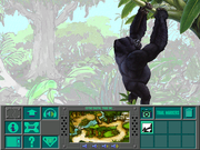 Zoobooks Animazing Adventures: The Apes