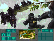 Zoobooks Animazing Adventures: The Apes