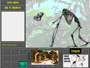 Zoobooks Animazing Adventures: The Apes