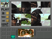 Zoobooks Animazing Adventures: The Apes