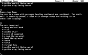 Zork III