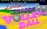 [Zorlim's Arcade Volleyball - скриншот №5]