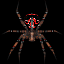 S-BoD Spider.png