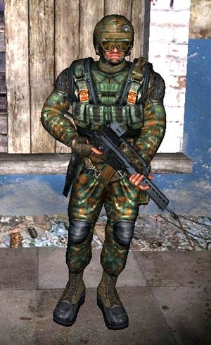 Bodyguard (jupiter).jpg