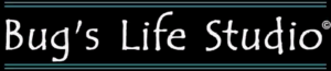 Bugs Life Studio - logo.png