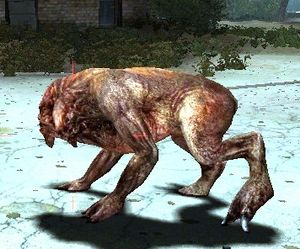 Himera (pripyat).jpg